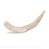 Best Bully Sticks&#39; Large Whole Deer Antler (1 Pack) on a white background.