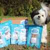 A dog is standing in front of a box of Best Bully Sticks Sampler Box treats.