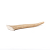 A Medium Whole Deer Antler (1 Count) by Best Bully Sticks on a white background.