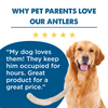 Why pet parents love our Large Whole Deer Antler (1 Pack) from Best Bully Sticks.