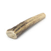 A Small Whole Elk Antler (1 Count) from Best Bully Sticks on a white background.