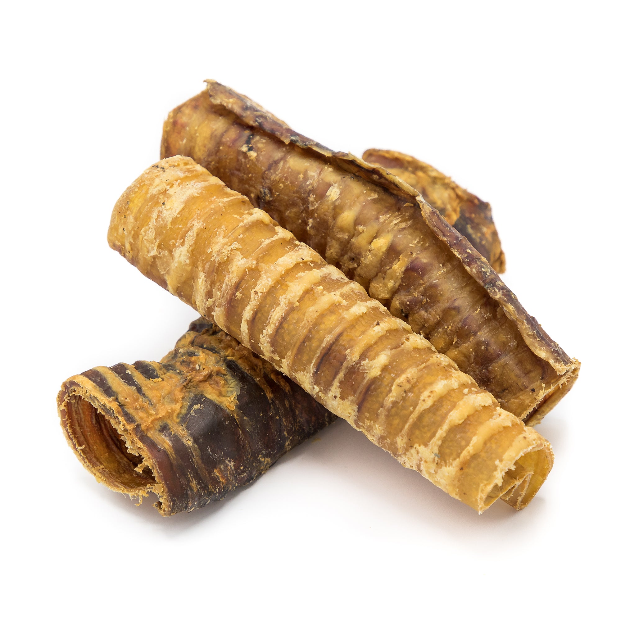 A rolled up Beef Trachea Dog Chew - 5 to 6 Inch from Best Bully Sticks on a white background.