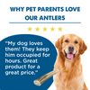 Why pet parents love our Best Bully Sticks Small Whole Elk Antler (1 Count).