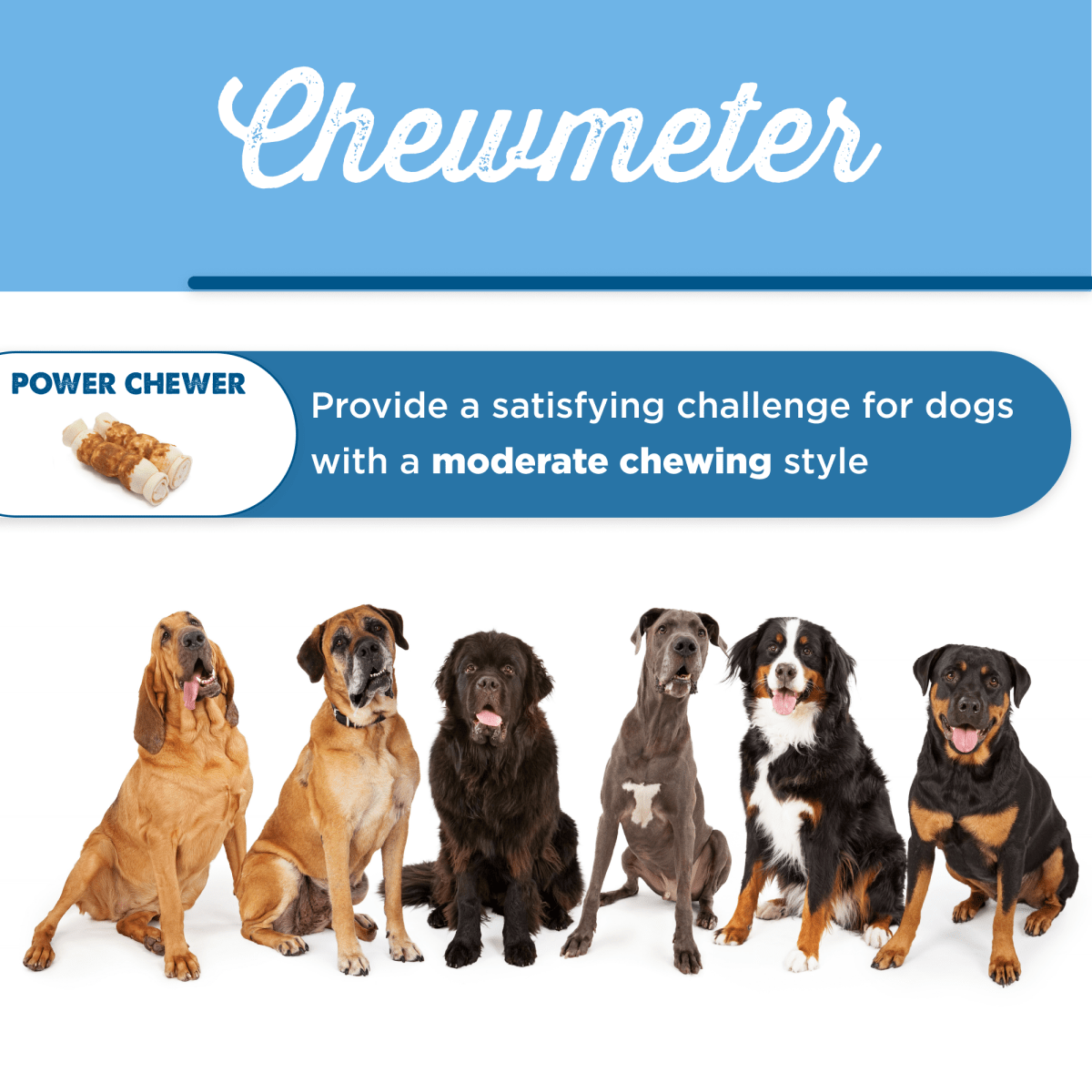 A group of dogs standing in front of a poster that says Best Bully Sticks - Chicken Wrapped Beef Cheek - Large.