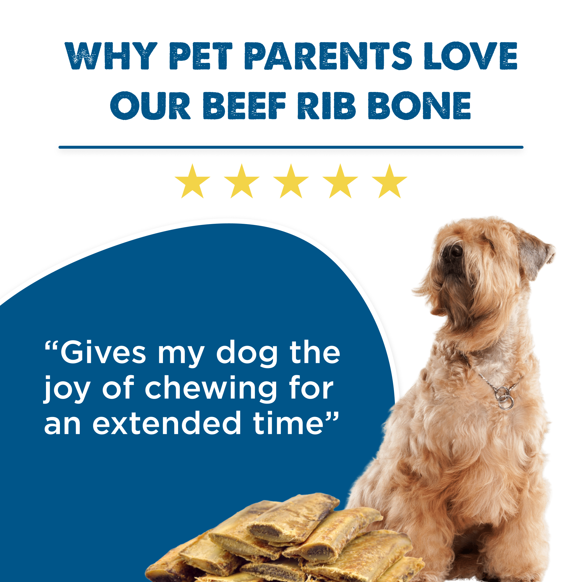 are prime rib bones good for dogs