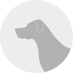 Dog Avatar